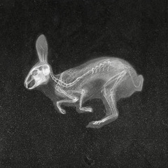 Pal (Feat. Delon Smith)