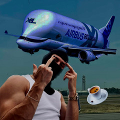 beluga