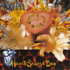 Heart Shaped BOX MST