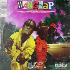 A$ap Rocky- Wangsap
