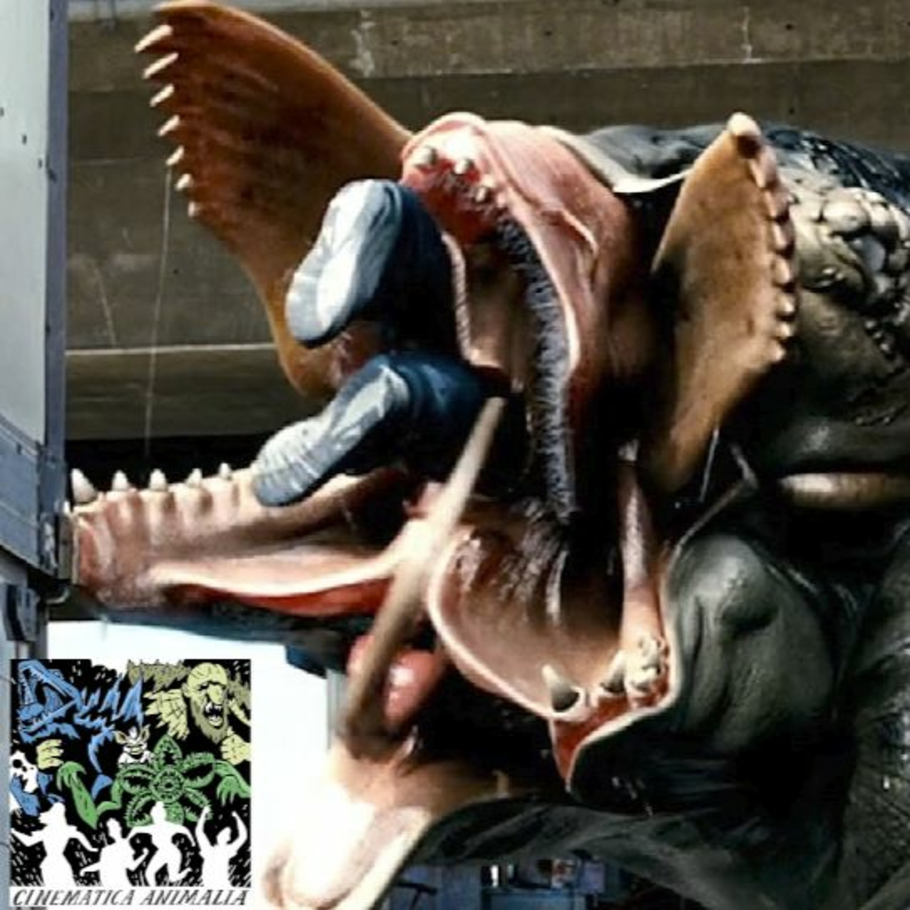 Cinematica Animalia
