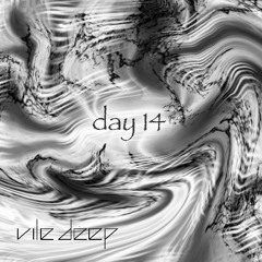day 14