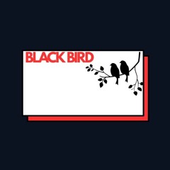 Black Bird