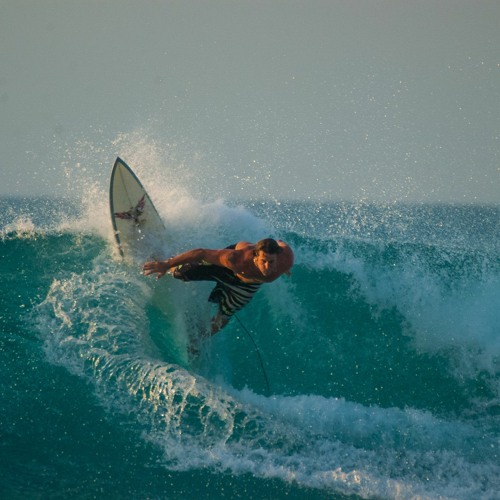 Day Fox Surfing On The Waves