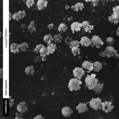 პიროსის გამარჯვება [Pyrrhic Victory]