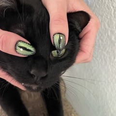 do you love me now? (prod. sims)