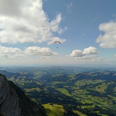 straight in E minor - Blueberry - 05.08.2025