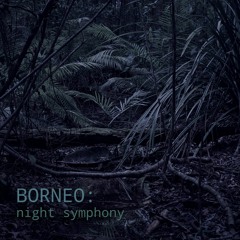Borneo: Night Symphony - Album Sample