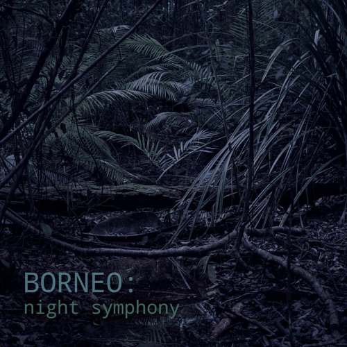 Borneo: Night Symphony - Album Sample