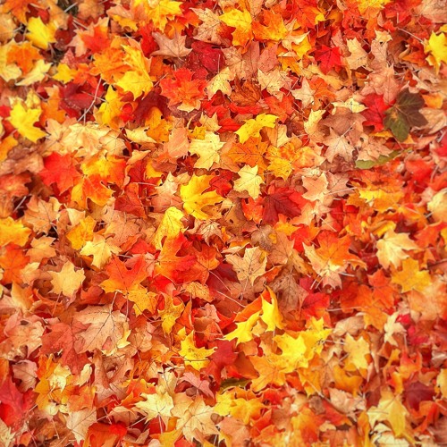 Roll Right, Roll Tight