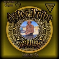 Aztec Tribe (live)