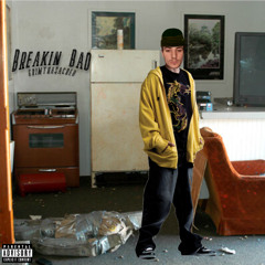 breakin bad (fukkmetta)