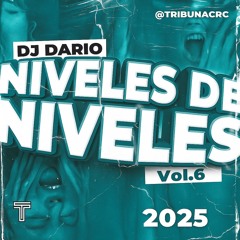 Niveles de Niveles Vol. 6 - Dario x Tribuna Music