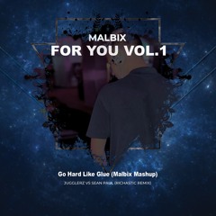 Jugglerz Vs Sean Paul (Richastic Remix) - Go Hard Like Glue (Malbix Mashup)(Free Download)