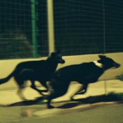 donkey kid - BUT THEN THE NIGHT (demo)