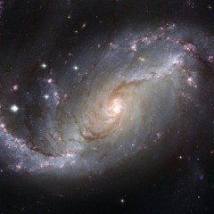 Circinus Major (2002)