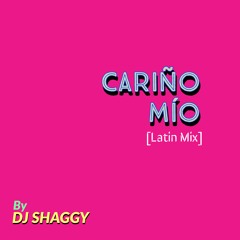 Dj Shaggy - Cariño Mio [Latin Mix]