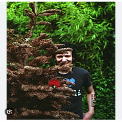 BKGD Audio - "Beauty In The Trees"