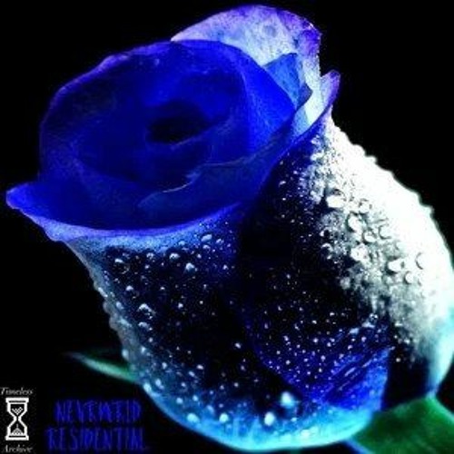 nevrwrld - blatantly disagree (feat. not home)