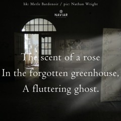 naviarhaiku483 - scent of a rose
