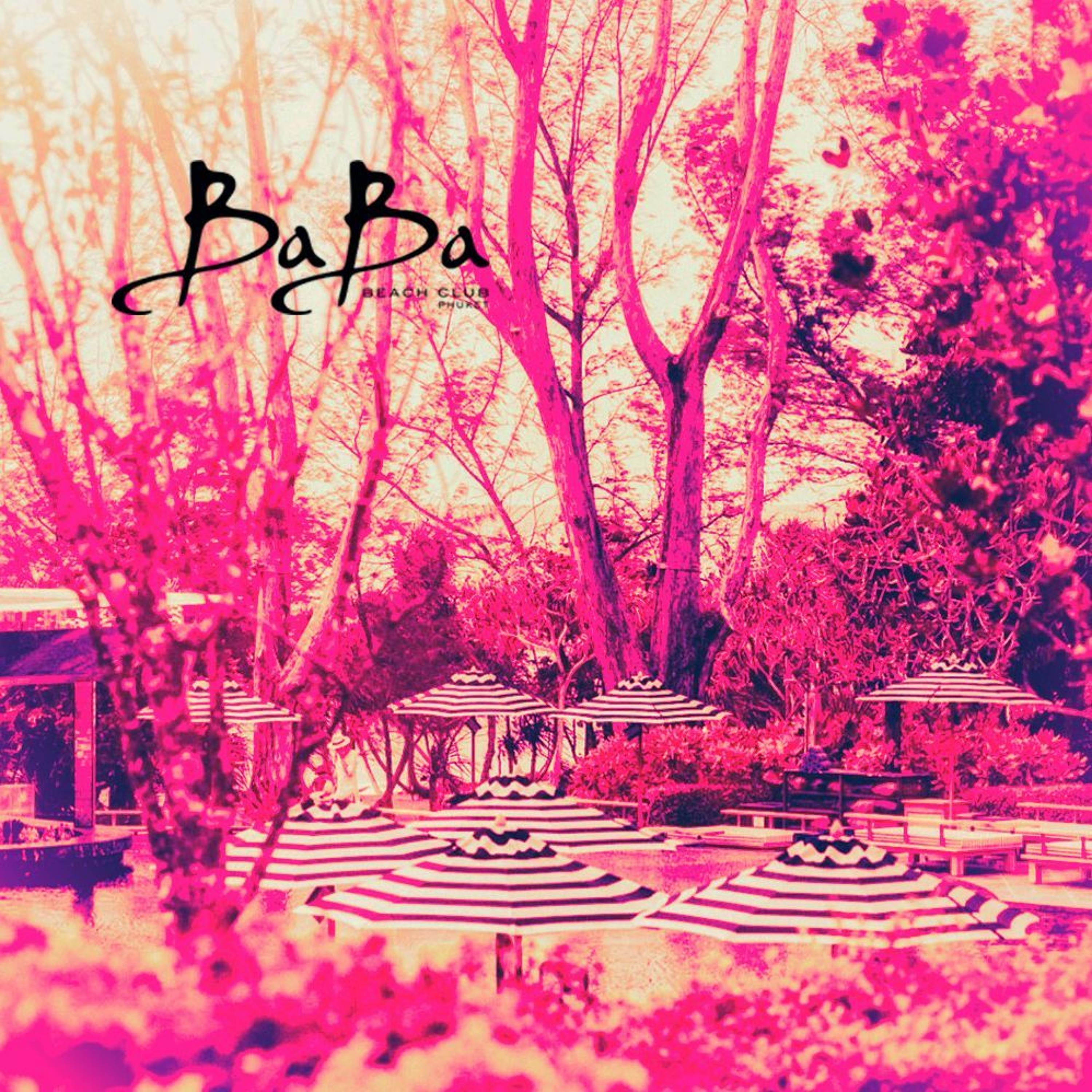 Music from Baba Beach Club