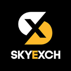 Sky Exchange A Reliable Platform for Seamless Online Access
