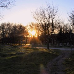 РВАНЫЕ ТРУСЫ