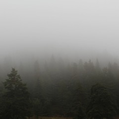 Koca Bi Saçmalık Cover