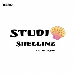 Studio shellinz ft mc tjay