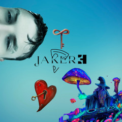 Jakere Mix 4.0 Check