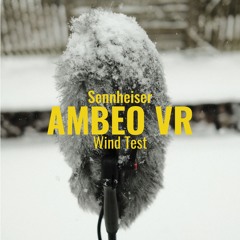 Sennheiser Ambeo VR -> Rode Blimp MK l (Heavy Wind Gusts)