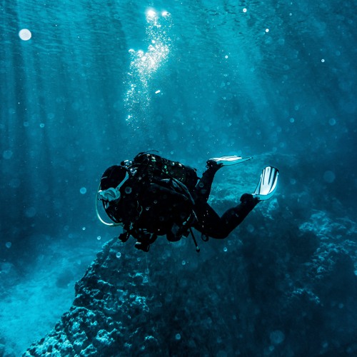 Deep Blue Sea