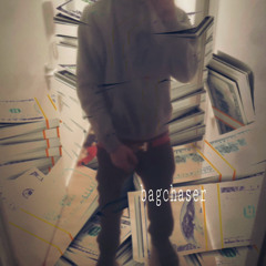 bagchaser [zonic]