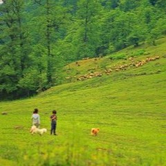 فولک مازنی---بانو جان طاهر قریشی