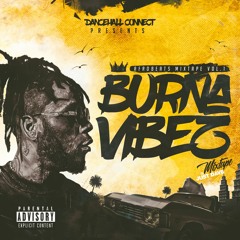 Burna Vibez Vol.1 (Afrobeats Mixtape)