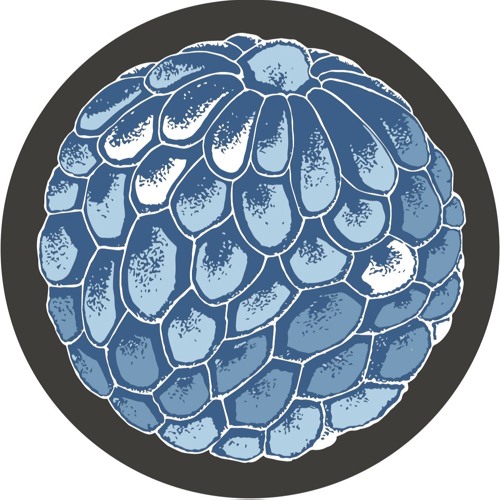 A2. ORBE - Rigging - MOFF016 (snippet)