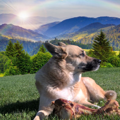 Rainbow Bridge
