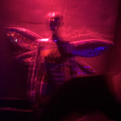House Live Tonight