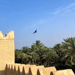 ‎⁨اوبريت دار زايد