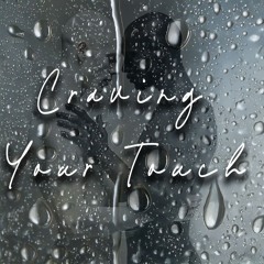 Craving Your Touch   (Explicit)