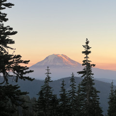 Jesus, You Bring the Joy