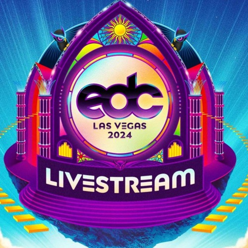 Fred Again Live EDC Las Vegas 2024