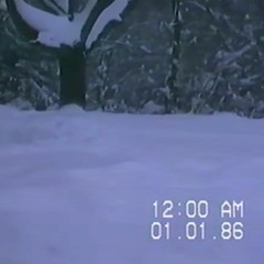 finally, some peace and quiet around here