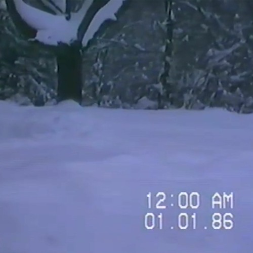 finally, some peace and quiet around here