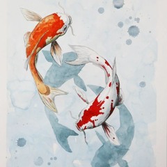 Koi.