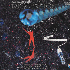 洋楽 DJ MURO / 45AREpm Stream 