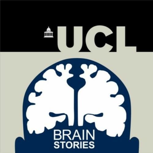 Brain Stories - Episode 16 - Peter Kok on how the brain determines what we see