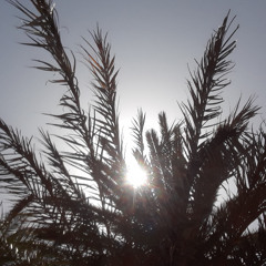 Poivre Noir, Piment Rouge DIM 20 JUL 2025 Maqam