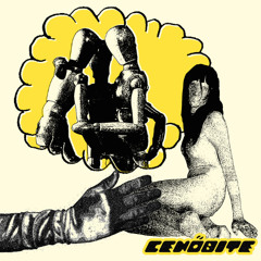 Cereal in the Morning