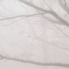 опустошённый